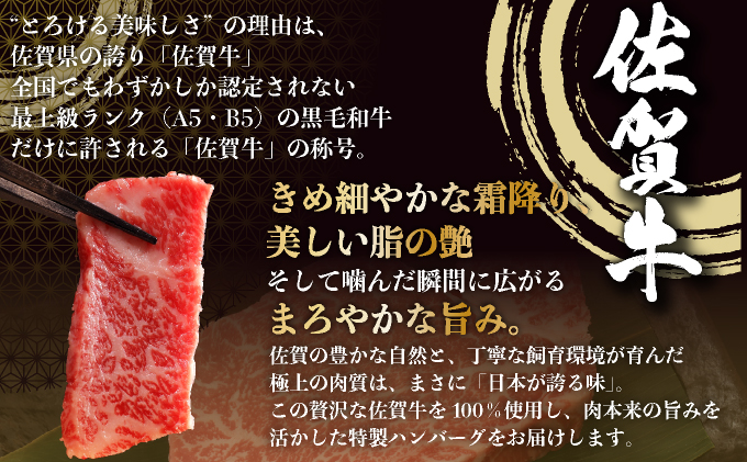 佐賀牛ハンバーグ 6個	【25gf-0048】