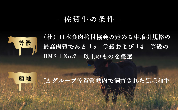 佐賀牛リブロースステーキ 600g (200g×3枚)