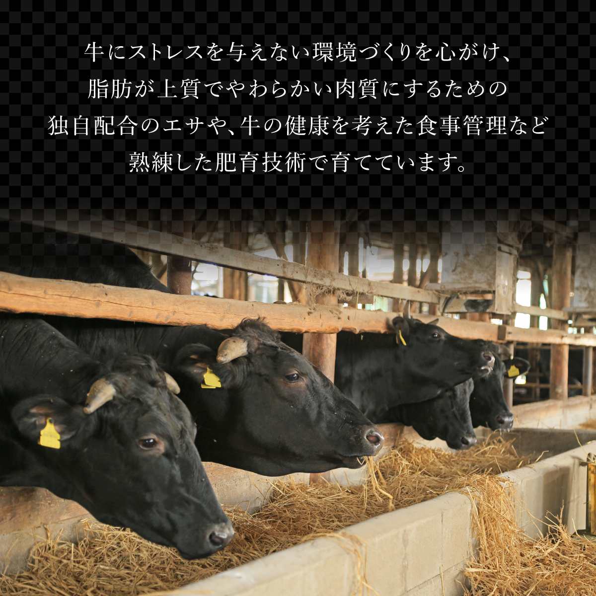 佐賀牛リブロース 600g (300g×2パック)