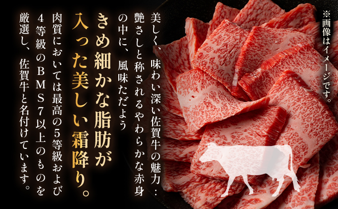 艶さし！【A4～A5】佐賀牛焼肉用　1kg（500g×2p）