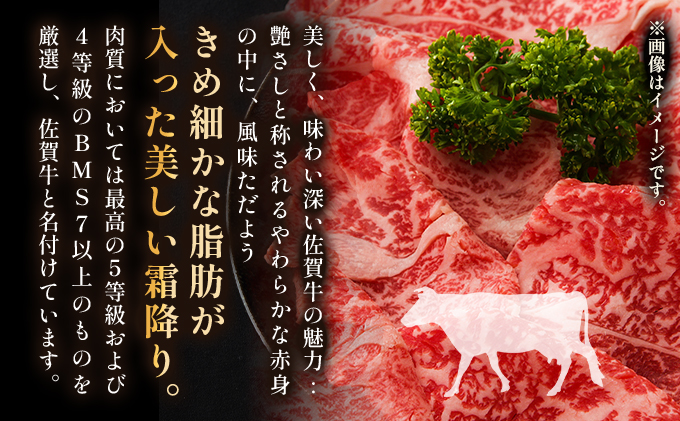 艶さし！【A4～A5】佐賀牛 切り落とし500g