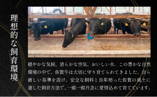 艶さし！【厳選部位】【A4～A5】佐賀牛サーロインしゃぶしゃぶすき焼き用　300ｇ