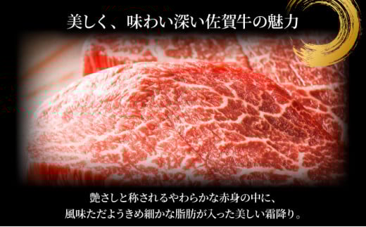 【A4～A5】佐賀牛モモステーキ　約500ｇ（100ｇ×5ｐ)