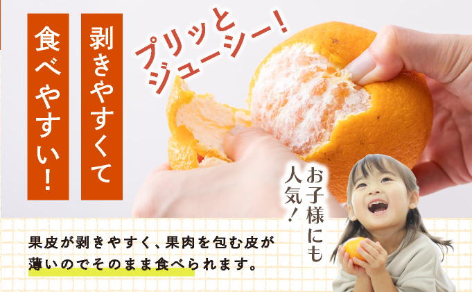 [先行予約] 佐賀産 デコポン8〜12玉(約2.5kg箱)