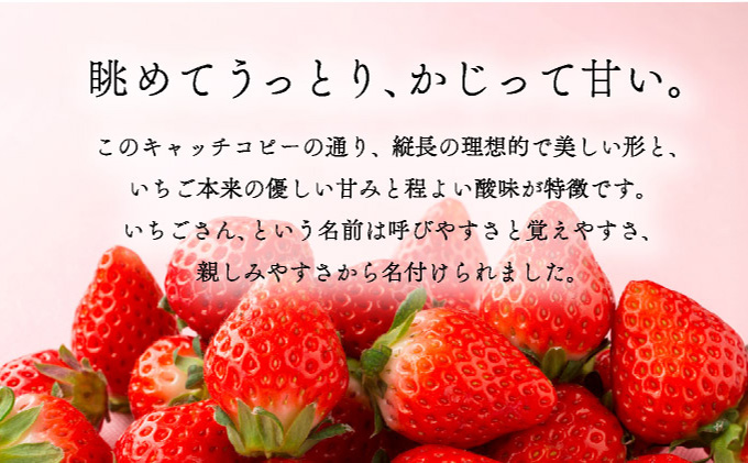 佐賀産 いちごさん4パック【41nf-006】