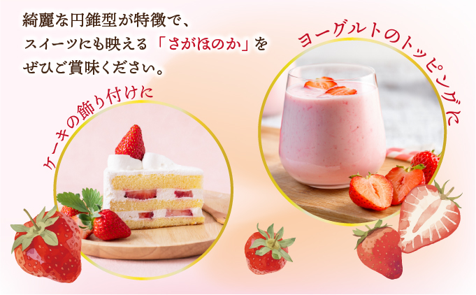 佐賀産 さがほのか4パック【41nf-010】