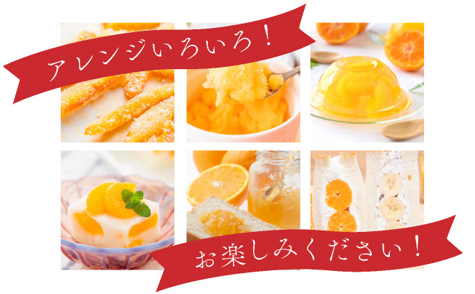 【先行予約】みかんの「大トロ」佐賀産かんきつ・せとか 約3kg(7-12玉) / ふるさと納税 佐賀 フルーツ濃厚 甘い 酸味 大町 贈答 ギフト 贈り物【41nf-015】