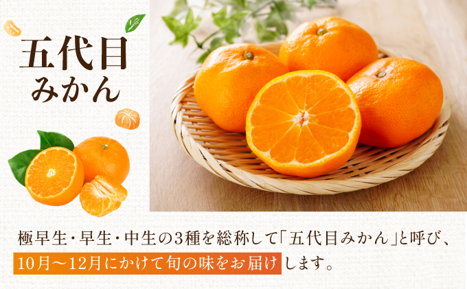 五代目みかん9.5kg／ふるさと納税 佐賀 みかん オレンジ フルーツ濃厚 甘い 酸味 大町 贈答 ギフト 贈り物 42ik-002