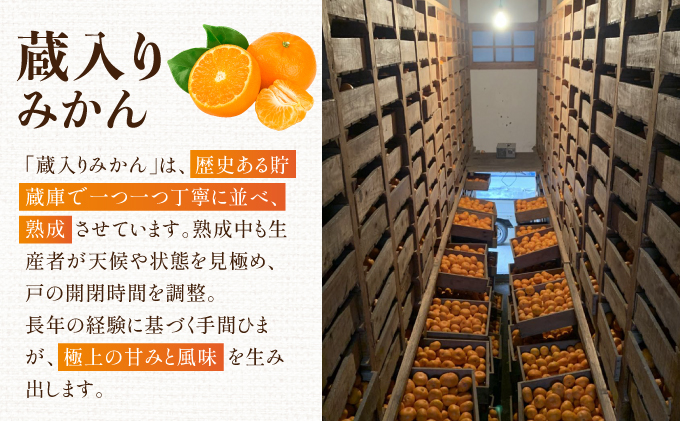 蔵入りみかん4.5kg／ふるさと納税 佐賀 みかん オレンジ フルーツ濃厚 甘い 酸味 大町 贈答 ギフト 贈り物 42ik-003
