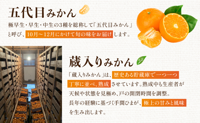 五代目・蔵入りみかん9.5kg×2回／ふるさと納税 佐賀 みかん オレンジ フルーツ濃厚 甘い 酸味 大町 贈答 ギフト 贈り物 42ik-006