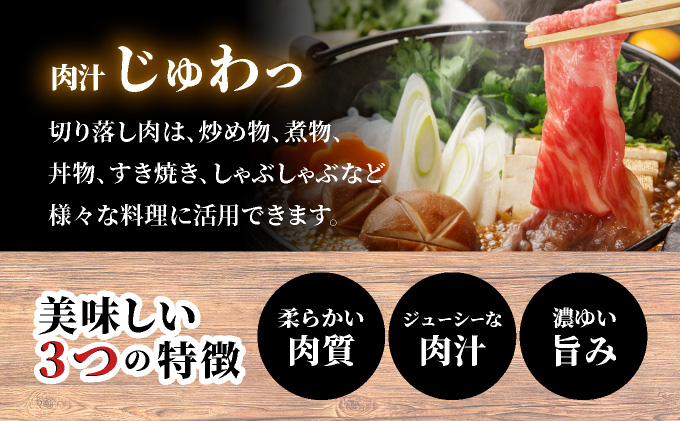 佐賀牛切落し380g 【42yc-011】