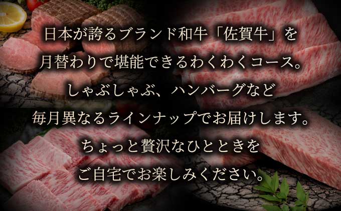 「佐賀牛」わくわく26万コース＜12回定期便＞【42yc-016】