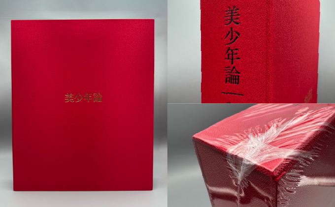 ◆限定特装版・書店での購入不可◆美少年論 Men behind the scenes 特装版（写真集）/ 大串祥子【43os-003】