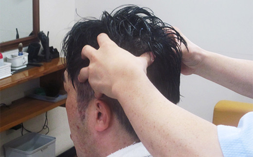 頭、顔、耳すべてスッキリ！フルコース（カット、シャンプー、顔剃り込）　02as-0005