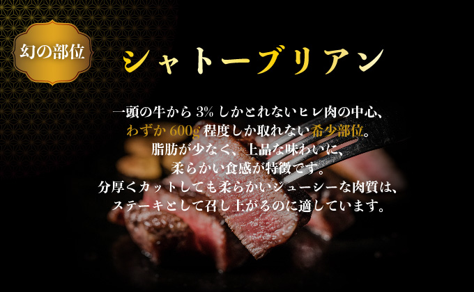 ＜定期便10回＞ 佐賀牛シャトーブリアン 計10kg (1kg×10回)　04bh-0010