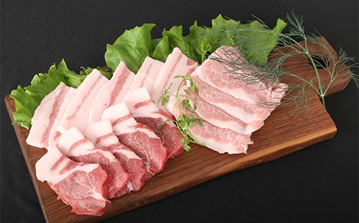 ブランド豚【肥前さくらポーク】 焼肉セット 1kg　04bh-0013