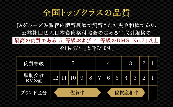 ブランド銘柄「佐賀牛」ヒレステーキ 計1,080g (180g×6枚)　06ff-0004