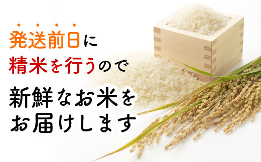 さがびより新鮮米"ゴールド" 5kg (1kg×5袋)　08hb-0001