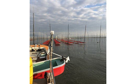 パリパリの【佐賀海苔】をお届けします_　09hs-0002