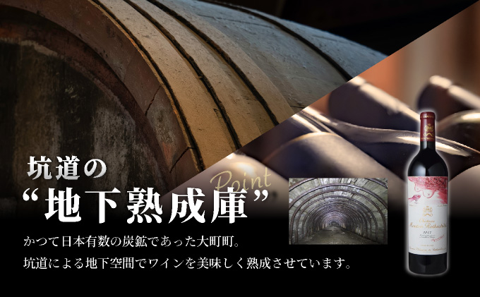 坑道熟成高級ワイン（シャトームートンロートシルト）1本×750ml | 赤ワイン フランス産 カルベネ・ソーヴィニヨン 熟成高級ワイン 五大シャトー 佐賀県 大町 [SS001_3]