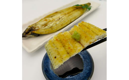 ＜定期便2回＞ うなぎ白焼き 計800g (200g×2尾×2回)