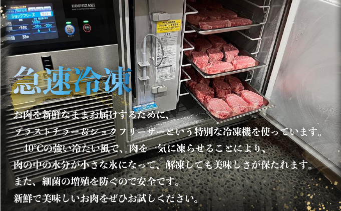 佐賀牛ヒレステーキ 540g (180g×3枚)