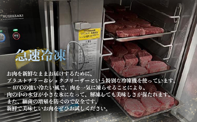 佐賀牛ミスジ焼肉【04bh-0022】