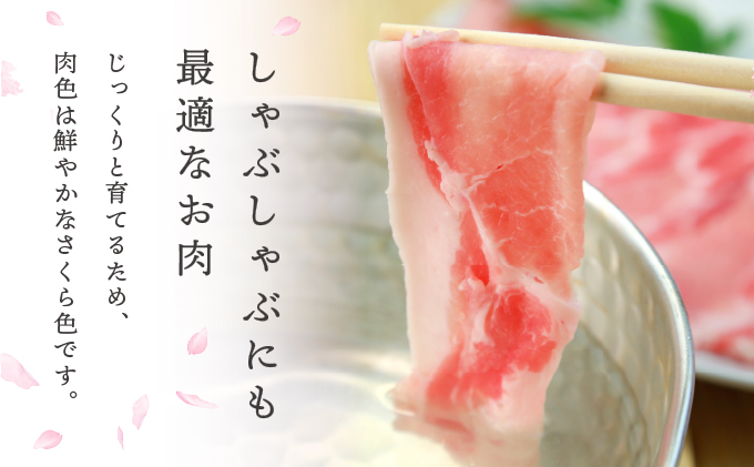 肥前さくらポークローススライス1300ｇ【06ff-0021】