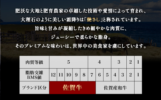 佐賀牛ヒレステーキ540g(180g×3枚) ヒレサイコロステーキ400g 計940g | ふるさと納税 佐賀 肉 お肉 牛肉 フィレ ヒレ ステーキ 贈答 プレゼント 国産 霜降り ギフト グルメ 国産牛 特産品 お祝い 贈り物 ステーキ肉 厚切り
