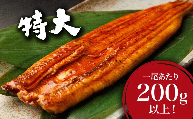 ＜土用の丑の日(7月26日)着＞うなぎ蒲焼き 800g (200g×4尾) 土用の丑の日（7月26日）着