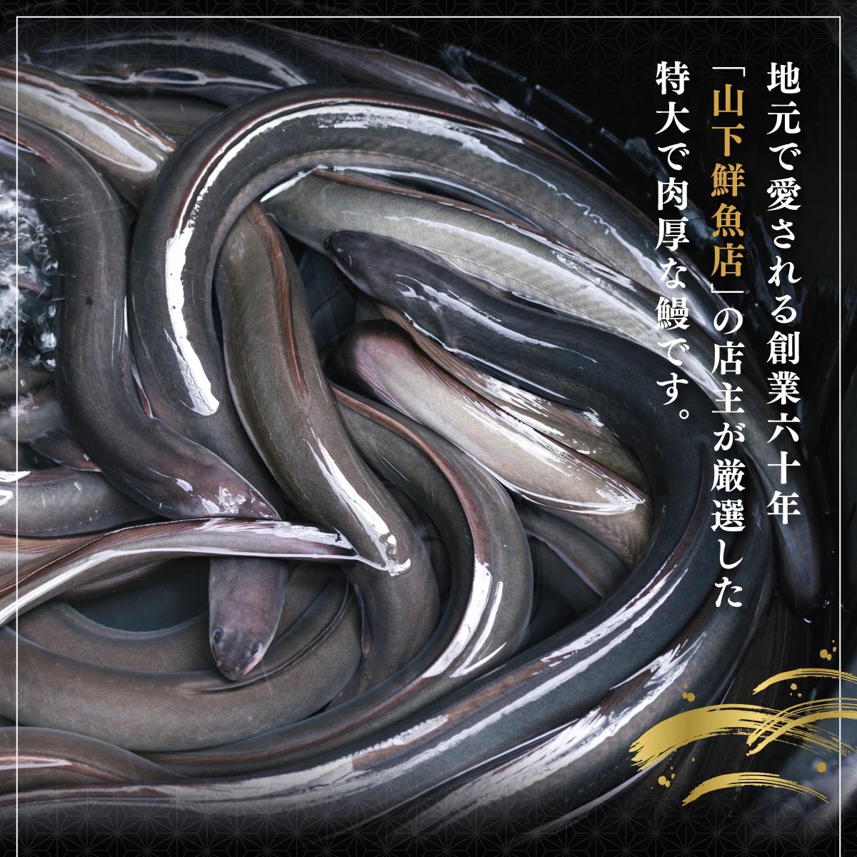 ＜2026年3月配送開始／定期便2回＞ うなぎ白焼き 計800g (200g×2尾×2回) 2026年3月配送開始
