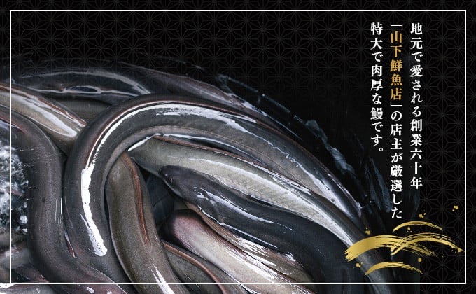 ＜2026年5月配送＞うなぎ蒲焼き 400g (200g×2尾) 2026年5月配送