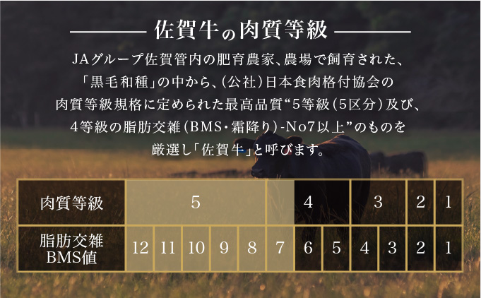 佐賀牛シャトーブリアン 400g (200g×2パック)