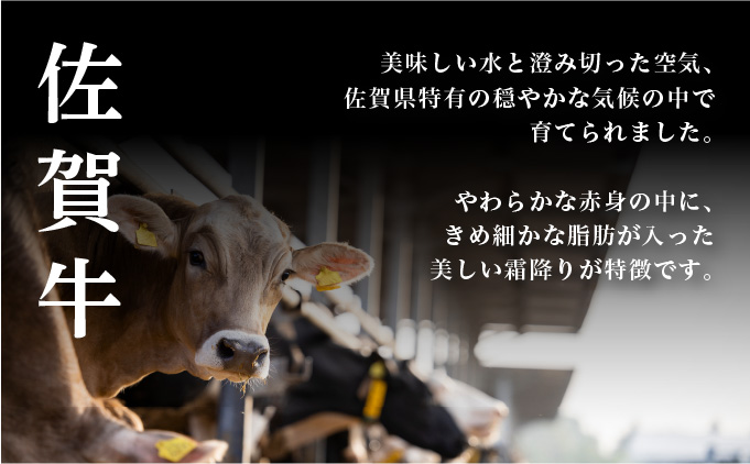 佐賀牛プチ贅沢セット ハンバーグ150g×6個・切り落とし500g