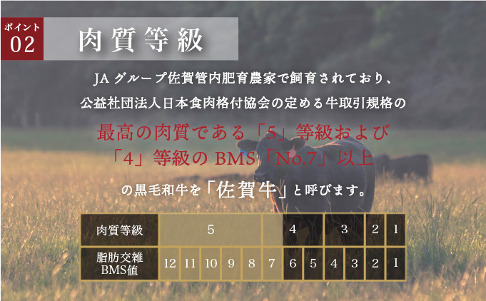 ＜定期便12回＞佐賀牛ローススライス 計6kg (500g×12回)