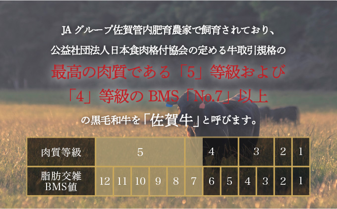 佐賀牛肉汁溢れるハンバーグ 100g×10個