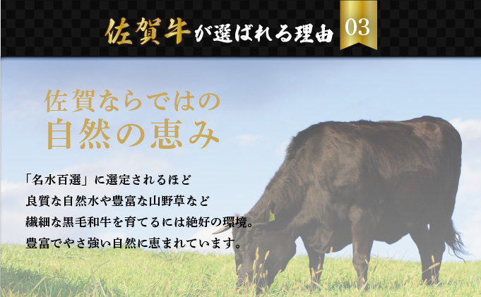 佐賀牛ローストビーフ 2本専用 タレ1本付