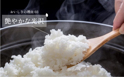 【先行予約】新米 令和7年産 夢しずく 5kg 29kg-0007