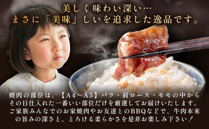 艶さし！【A4～A5】佐賀牛焼肉用　500g