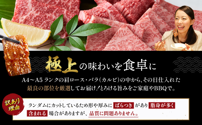 訳あり！艶さし！【A4～A5】佐賀牛焼肉切り落とし(肩ロース・バラ）　500g