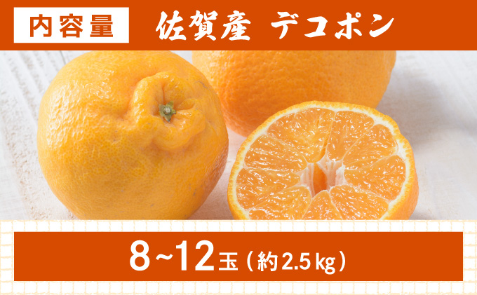 [先行予約] 佐賀産 デコポン8〜12玉(約2.5kg箱)