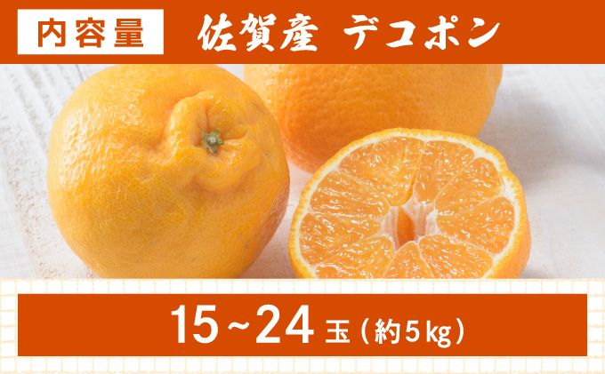 [先行予約] 佐賀産 デコポン15〜24玉(約5kg箱)