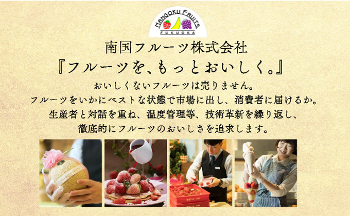 佐賀産 いちごさん 8パック