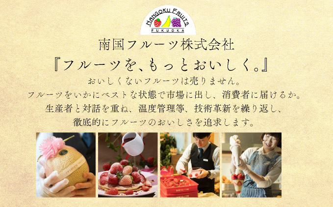 【先行予約】みかんの「大トロ」佐賀産かんきつ・せとか 約3kg(7-12玉) / ふるさと納税 佐賀 フルーツ濃厚 甘い 酸味 大町 贈答 ギフト 贈り物【41nf-015】
