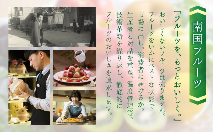 【先行予約】佐賀産柑橘「はまさき」 約3kg(7-12玉) / ふるさと納税 佐賀 フルーツ濃厚 甘い 酸味 大町 贈答 ギフト 贈り物【41nf-017】