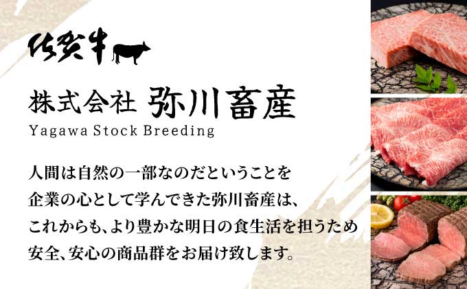 毎月お届け！佐賀牛づくし！100万円定期便【42yc-014】