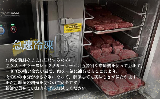 ＜定期便10回＞ 佐賀牛シャトーブリアン 計10kg (1kg×10回)　04bh-0010