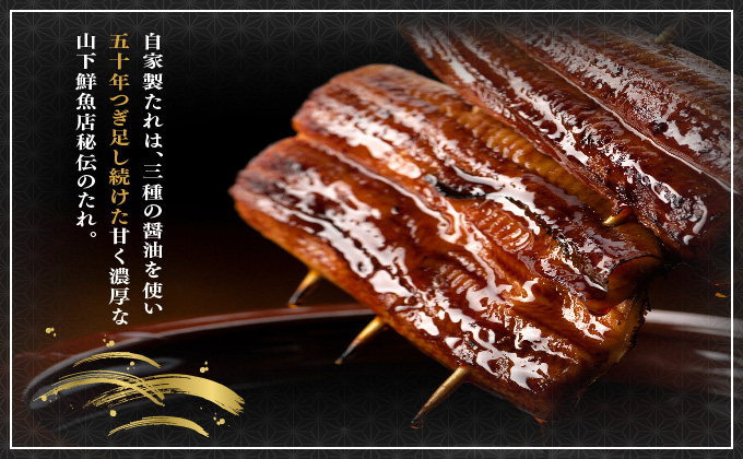 うなぎ蒲焼き 800g (200g×4尾)