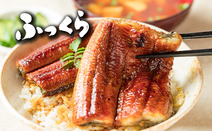 ＜定期便2回＞ うなぎ 蒲焼き 白焼き 食べ比べセット 計800g (200g×各1尾×2回)  冷蔵 [21ys-0006]