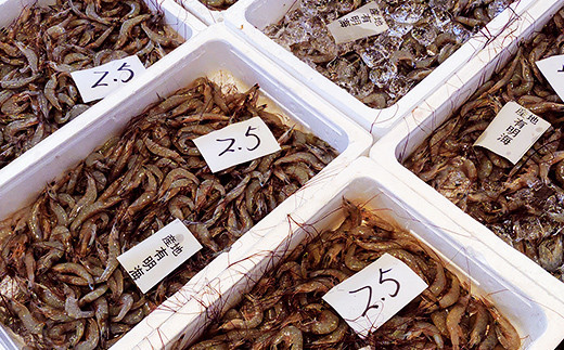 ＜先行予約＞料亭の贅沢海老シュウマイ 20個 (10個×2パック)